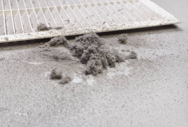 Best Residential Air Duct Cleaning  in Patterson, LA