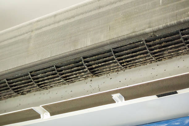 Best HVAC System Cleaning  in Patterson, LA